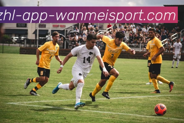 App Interface Preview